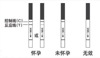 早孕试纸一深一浅